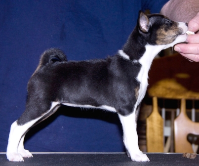 Baraka How The Wind Blows (Windy)